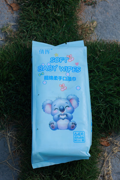 WIPES