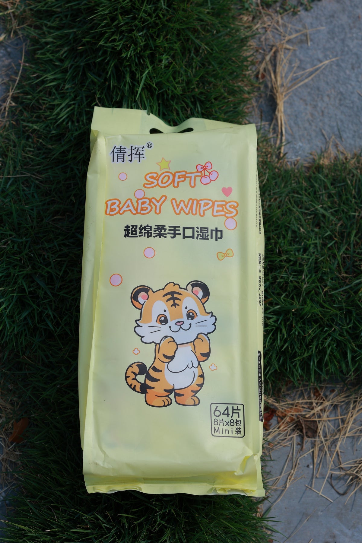 WIPES