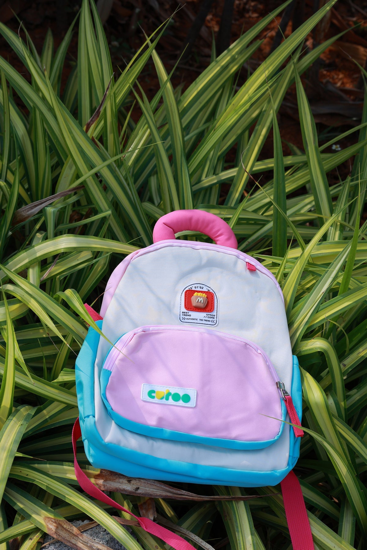 BAG